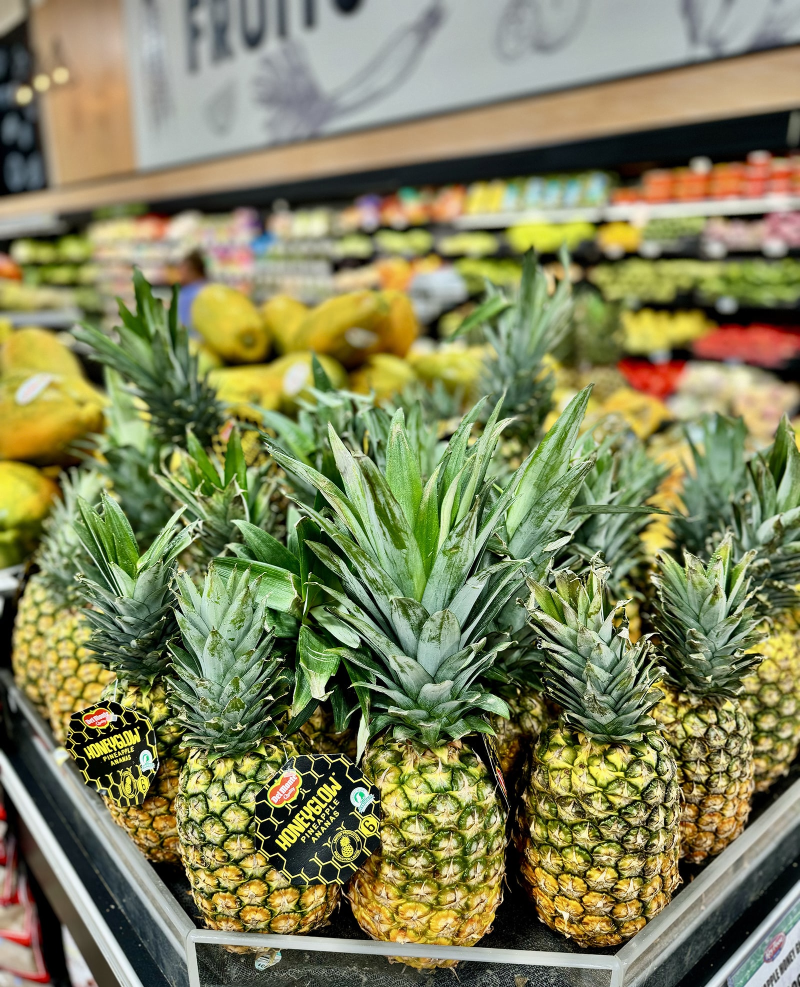 true Coconut Creek gathering spot