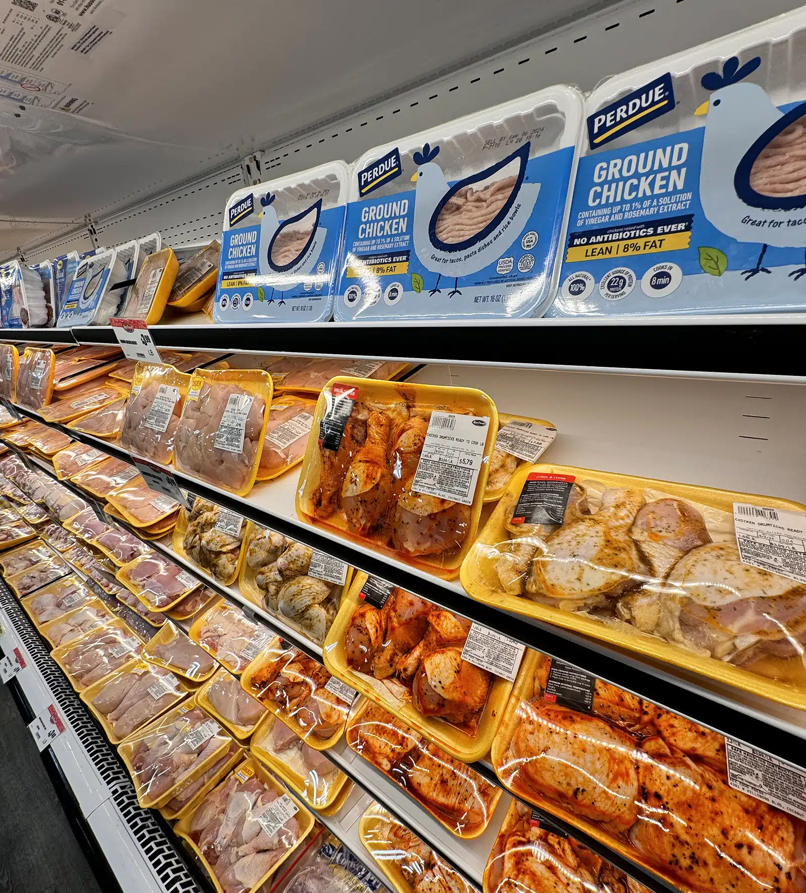 Everyday Grocery Shopping Everyday Grocery Shopping