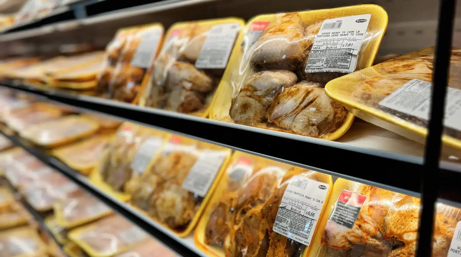 Meat, Seafood, and Dairy Delights