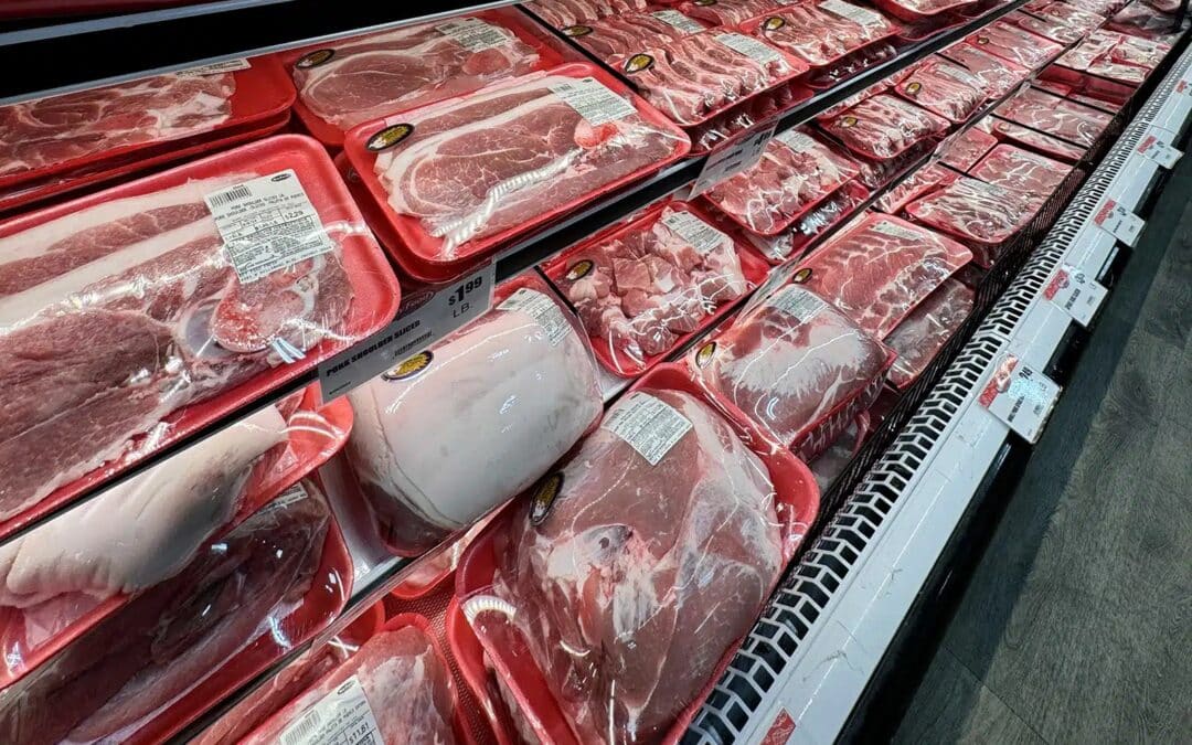 the Best Seafood in Margate