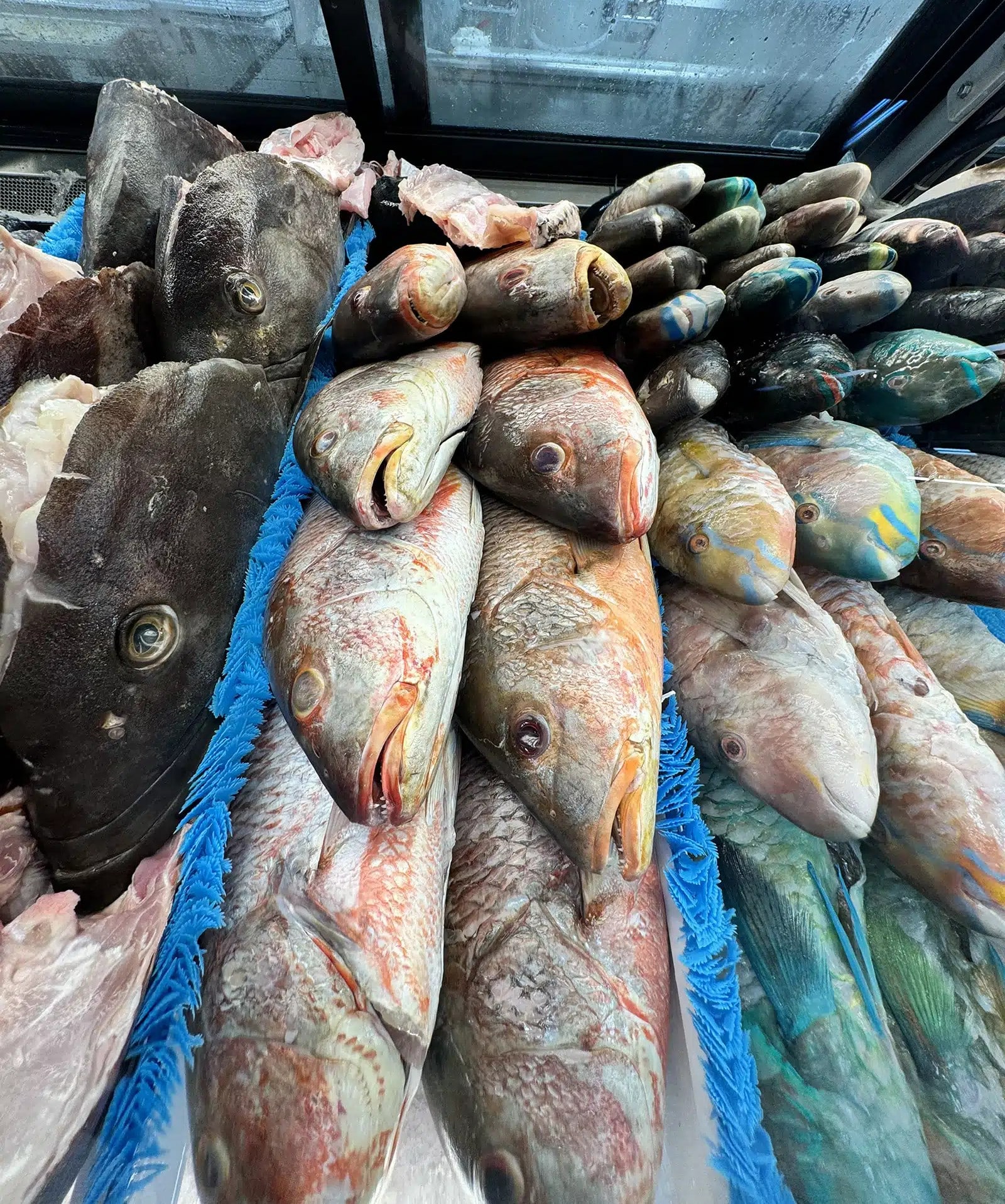 true Coconut Creek gathering spot