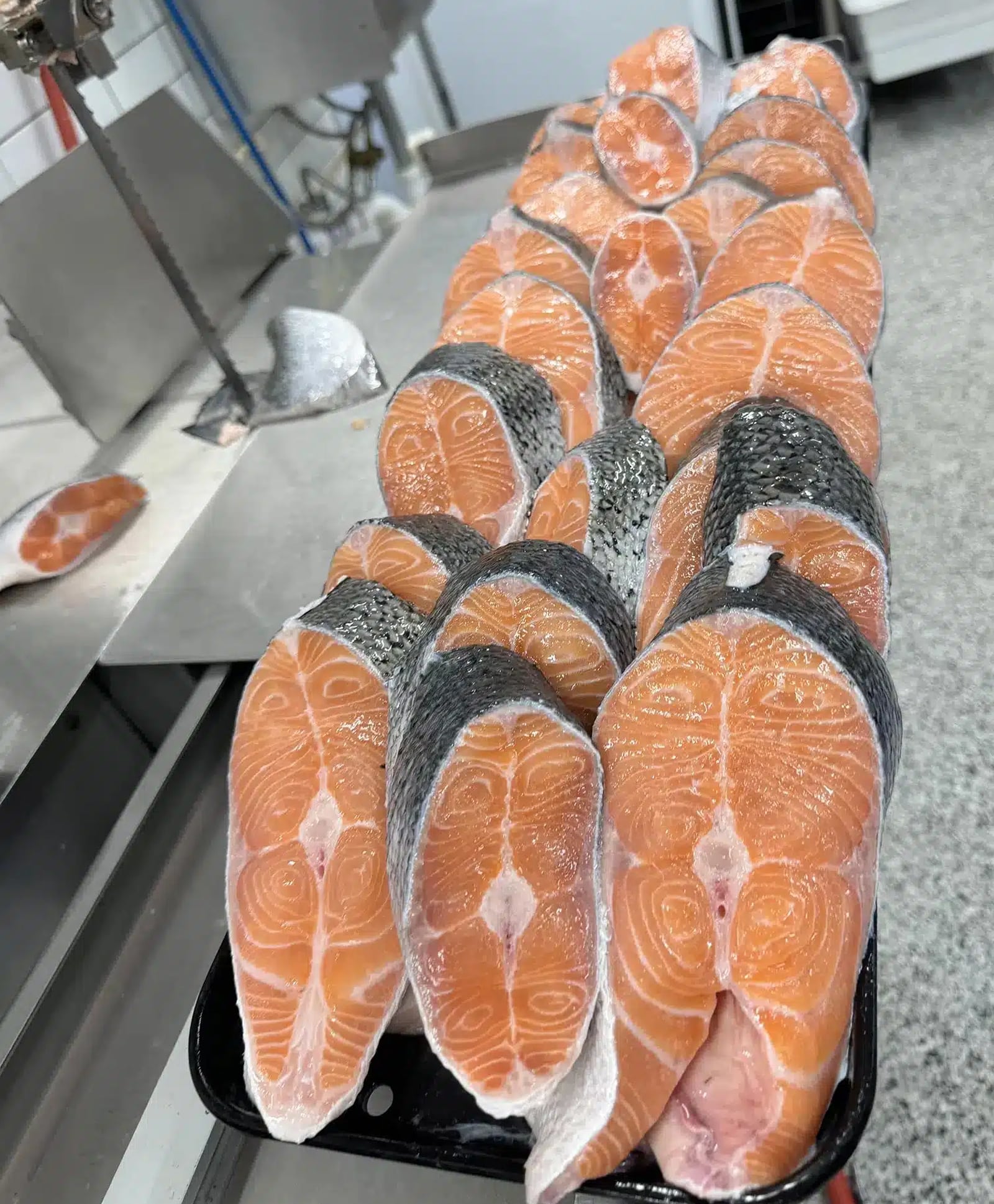 Choose Key Food for Fish