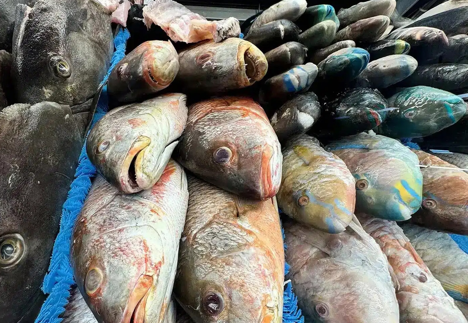 Tropical produce