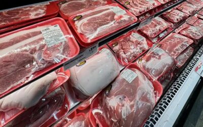 How to Choose the Best Meat Cuts at a Local Meat Market