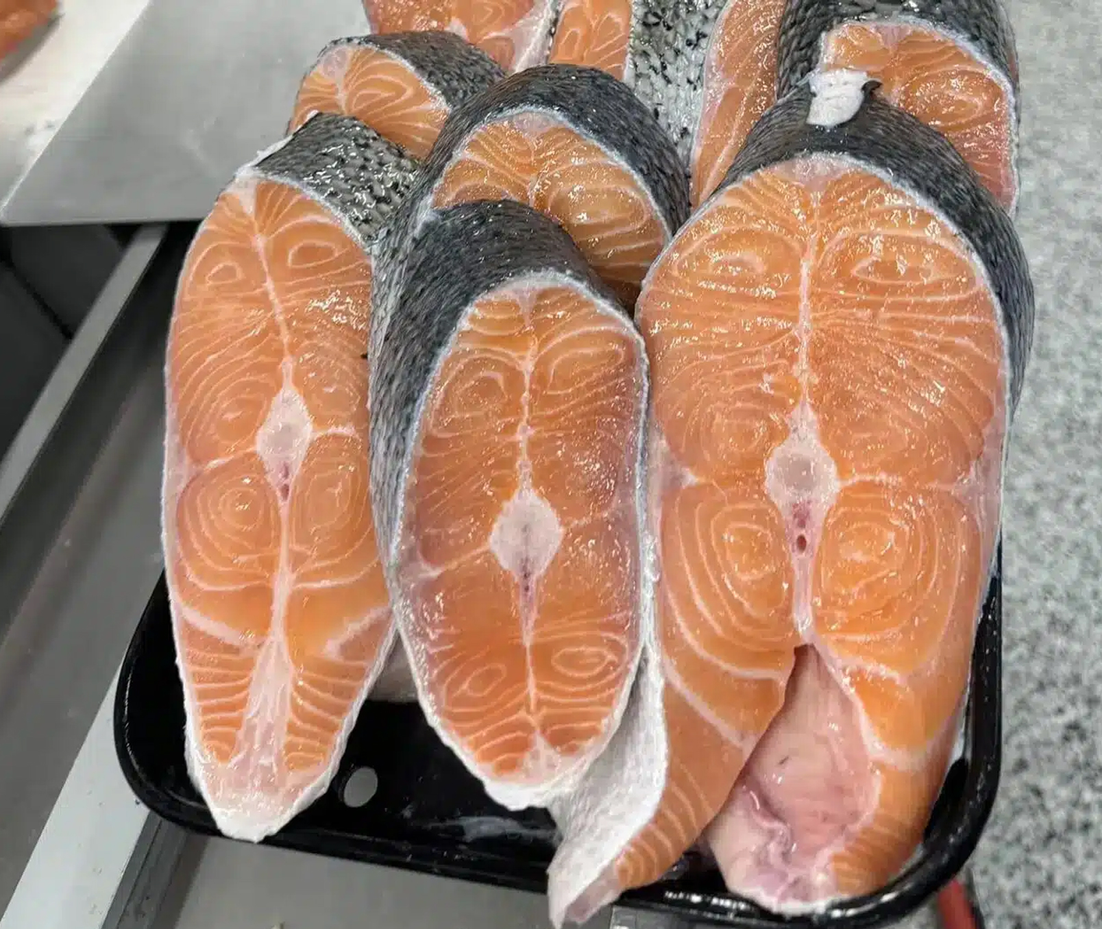resh fish market pompano beach